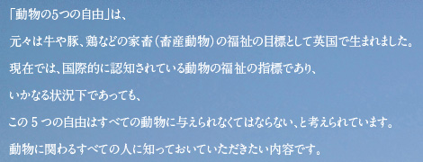 「動物の5つの自由」は、元々は牛や豚、鶏などの家畜（畜産動物）の福祉の目標として英国で生まれました。現在では、国際的に認知されている動物の福祉の指標であり、いかなる状況下であっても、この5つの自由はすべての動物に与えられなくてはならない、と考えられています。動物に関わるすべての人に知っておいていただきたい内容です。